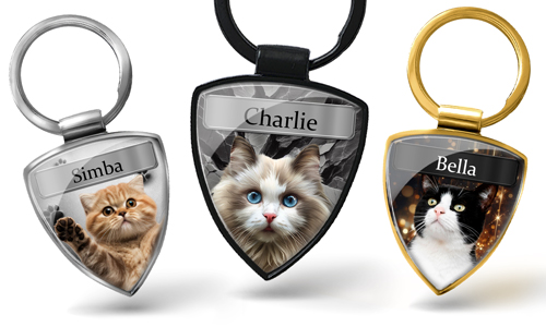Personalisierter Schlüsselanhänger mit Foto/Namen deiner Katze – tolles Geschenk für Katzenliebhaber/in