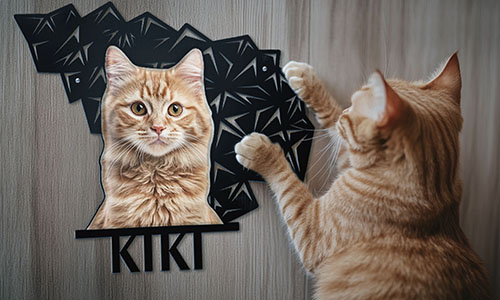 gallery-wall-decoration-with-cat-dog-1