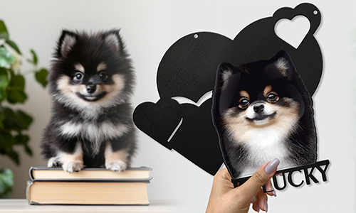 gallery-wall-decoration-with-cat-dog-2