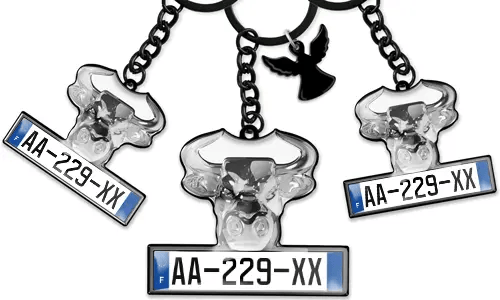 Klíčenka s býkem a SPZ