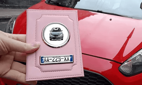 Pink Car Documents Holder