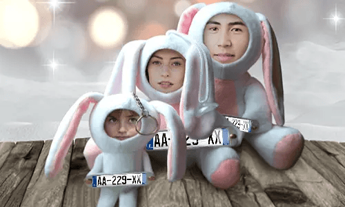 Car Photo Stuff Toy Bunny