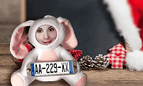 Cuddly toy with photo with license plate as a gift